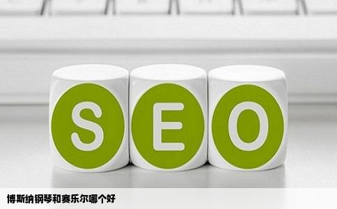 博斯纳钢琴和赛乐尔哪个好