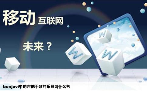 bonjovi中的吉他手吹的乐器叫什么名