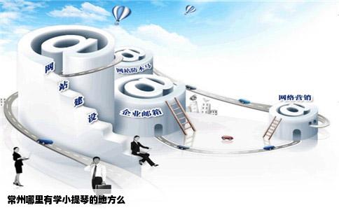 常州哪里有学小提琴的地方么