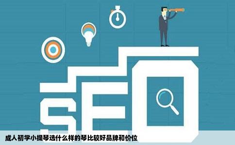 成人初学小提琴选什么样的琴比较好品牌和价位