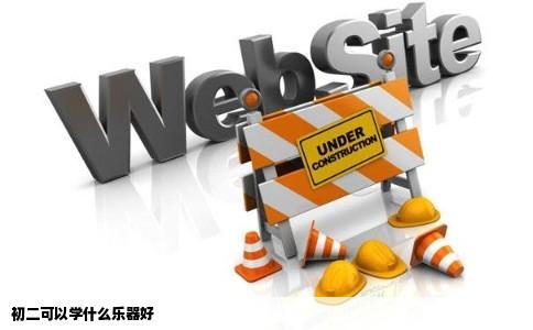 初二可以学什么乐器好