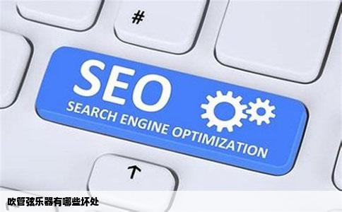 吹管弦乐器有哪些坏处