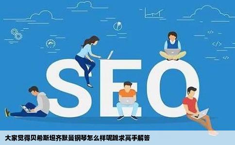 大家觉得贝希斯坦齐默曼钢琴怎么样呢跪求高手解答