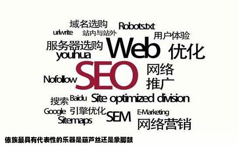 傣族最具有代表性的乐器是葫芦丝还是象脚鼓