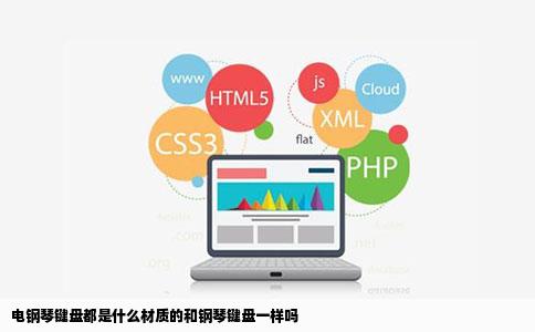 电钢琴键盘都是什么材质的和钢琴键盘一样吗