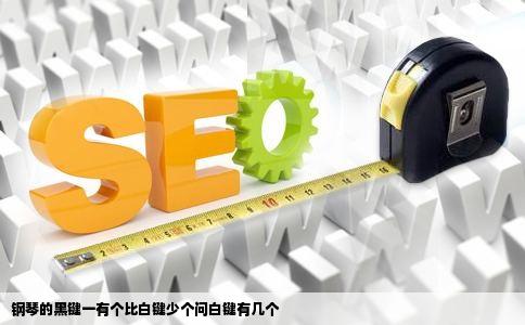 钢琴的黑键一有个比白键少个问白键有几个