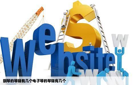 钢琴的琴键有几个电子琴的琴键有几个