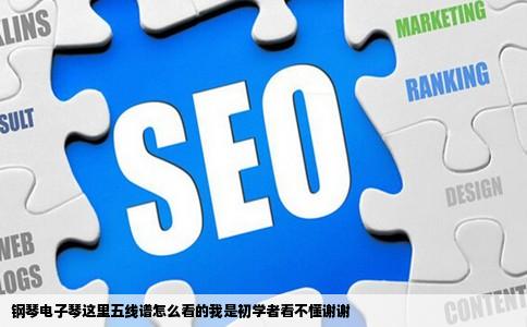 钢琴电子琴这里五线谱怎么看的我是初学者看不懂谢谢