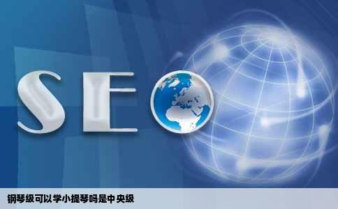 钢琴级可以学小提琴吗是中央级