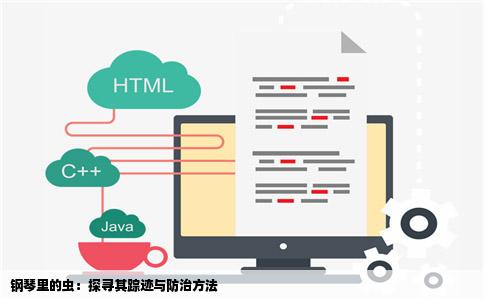 钢琴里的虫：探寻其踪迹与防治方法