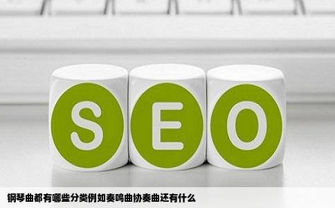 钢琴曲都有哪些分类例如奏鸣曲协奏曲还有什么