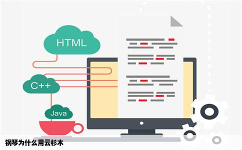 钢琴为什么用云杉木