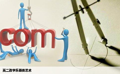 高二改学乐器类艺术