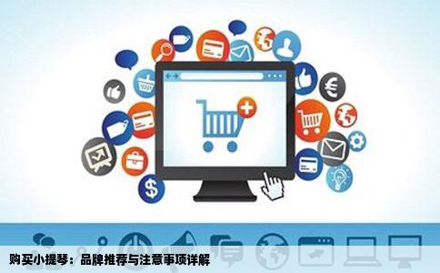 购买小提琴：品牌推荐与注意事项详解