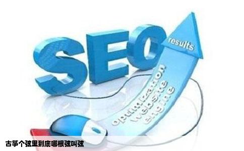 古筝个弦里到底哪根弦叫弦