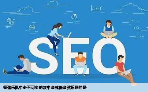 管弦乐队中必不可少的次中音或低音弦乐器的是