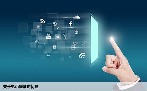 关于电小提琴的问题