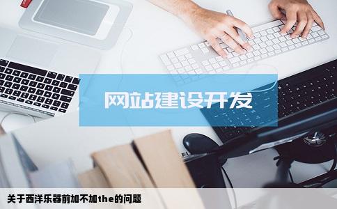 关于西洋乐器前加不加the的问题