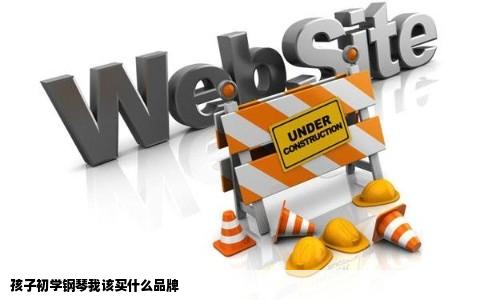 孩子初学钢琴我该买什么品牌