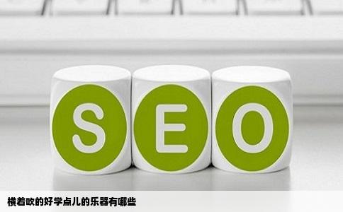 横着吹的好学点儿的乐器有哪些