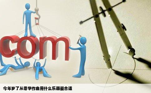 今年岁了从零学作曲用什么乐器最合适