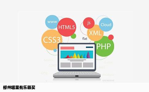 柳州哪里有乐器买