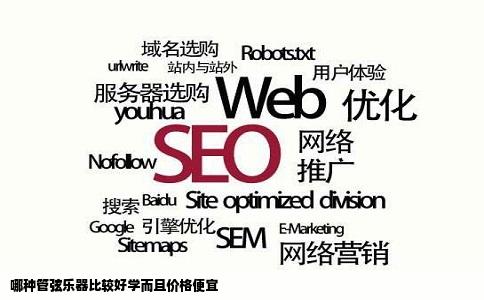 哪种管弦乐器比较好学而且价格便宜