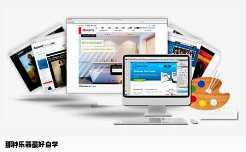 那种乐器最好自学