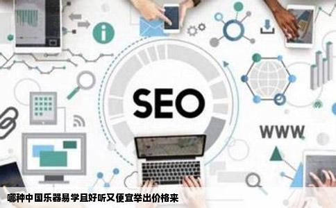 哪种中国乐器易学且好听又便宜举出价格来