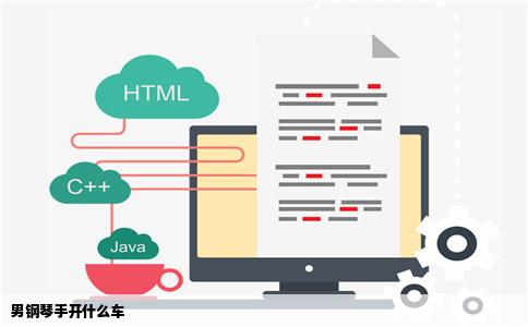 男钢琴手开什么车