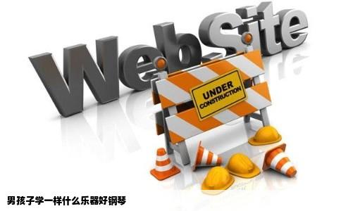 男孩子学一样什么乐器好钢琴