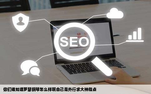 你们谁知道罗瑟钢琴怎么样啊自己是外行求大神指点