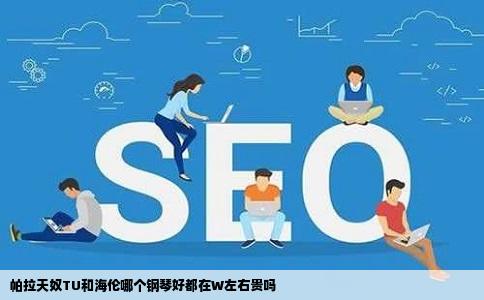 帕拉天奴TU和海伦哪个钢琴好都在W左右贵吗