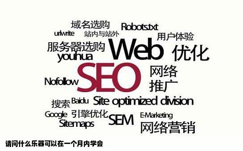 请问什么乐器可以在一个月内学会