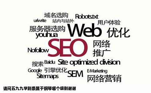 请问五九九学到条属于钢琴哪个级别谢谢