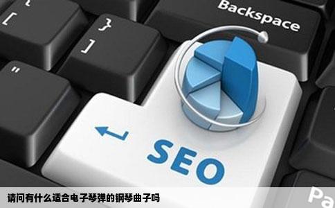 请问有什么适合电子琴弹的钢琴曲子吗