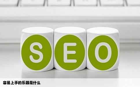 容易上手的乐器是什么