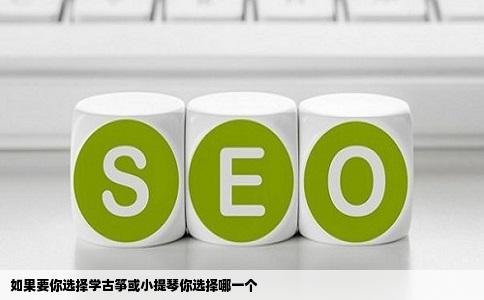 如果要你选择学古筝或小提琴你选择哪一个