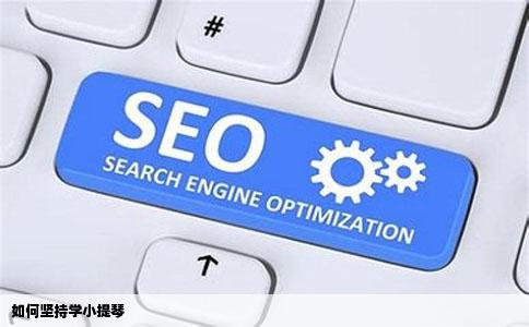 如何坚持学小提琴