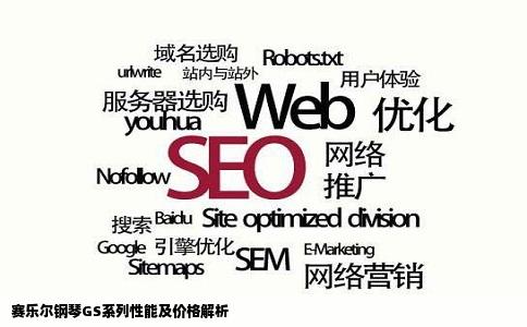 赛乐尔钢琴GS系列性能及价格解析