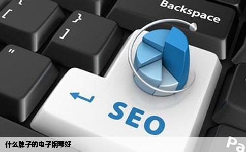 什么牌子的电子钢琴好