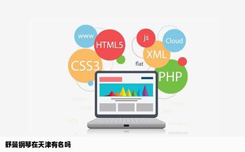 舒曼钢琴在天津有名吗