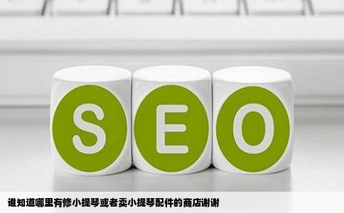 谁知道哪里有修小提琴或者卖小提琴配件的商店谢谢