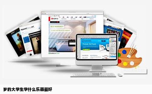 岁的大学生学什么乐器最好