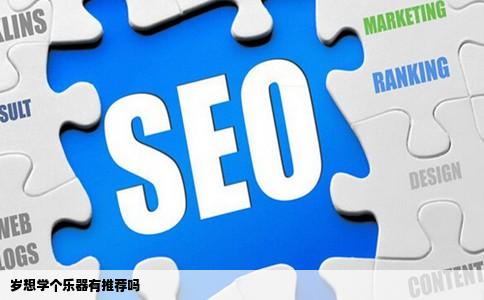 岁想学个乐器有推荐吗