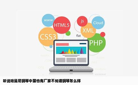 听说哈曼尼钢琴中国也有厂家不知道钢琴怎么样