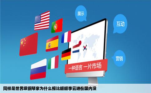 同样是世界级钢琴家为什么相比朗朗李云迪在国内没