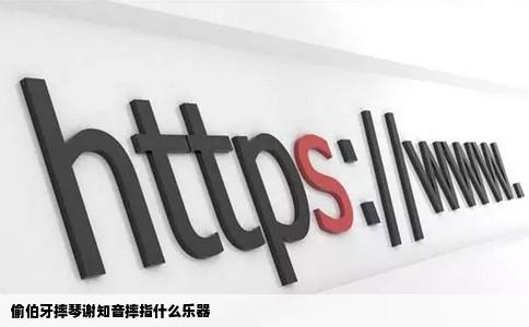 偷伯牙摔琴谢知音摔指什么乐器