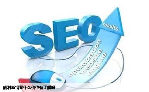 威利斯钢琴什么价位有了解吗