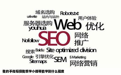 我的手指短但我想学小提琴能学到什么程度